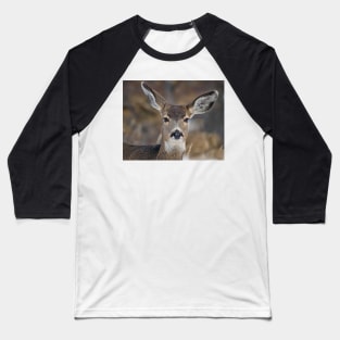 Mule Deer Listening Intently Baseball T-Shirt